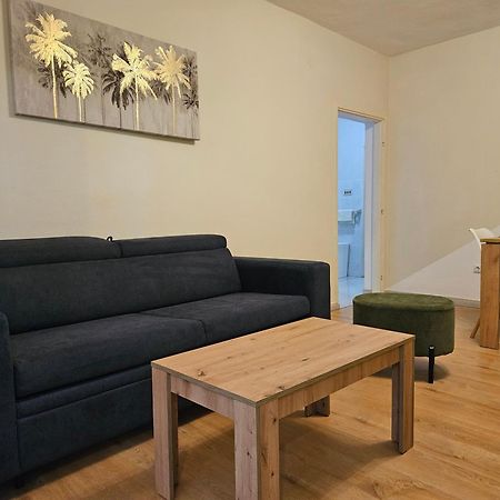 Apartmani Ljuba โรกอซนิซา ภายนอก รูปภาพ