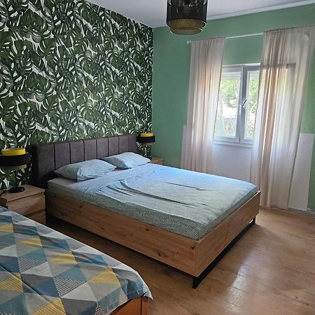 Apartmani Ljuba โรกอซนิซา ภายนอก รูปภาพ