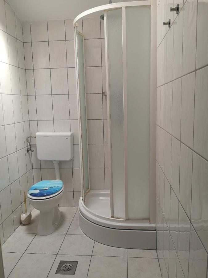 Apartmani Ljuba โรกอซนิซา ภายนอก รูปภาพ